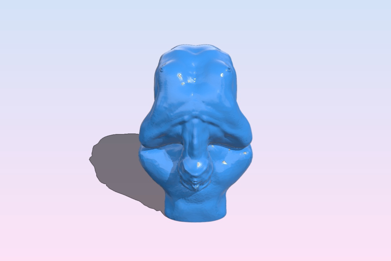 Sculpt_Anatomy study