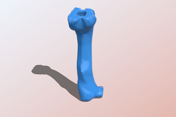 T-Rex Skeleton Femur Adjustment for different stance | 3d print model