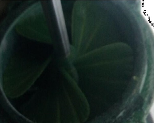 Impeller Design 70mm - 3_4_5-Blades | 3d print model