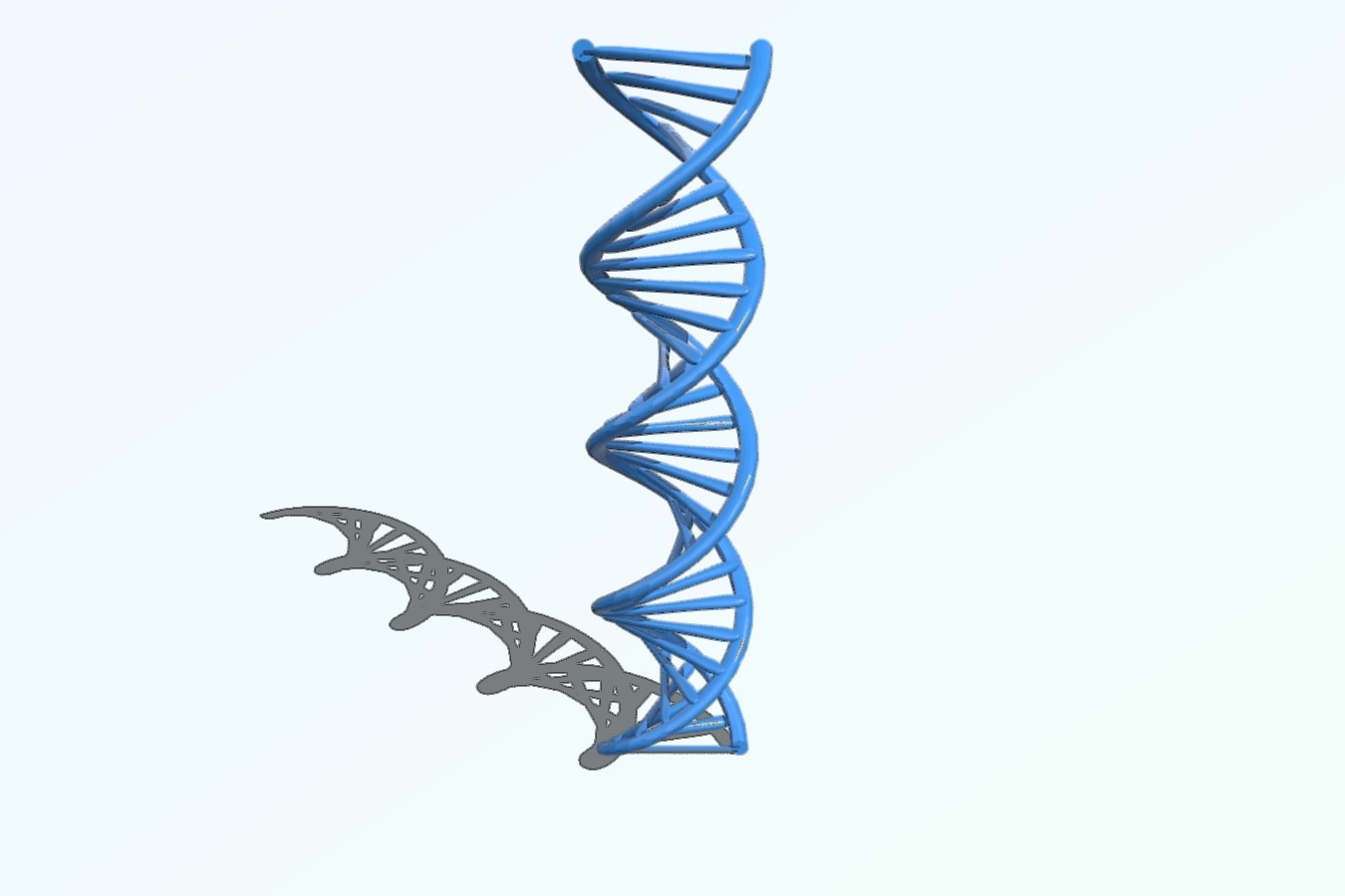 DNA (Autodesk & .stl file)