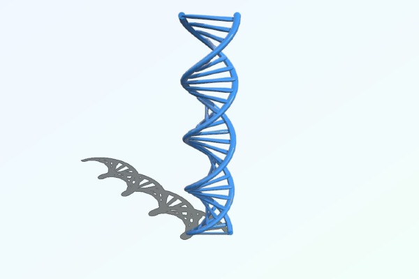 DNA (Autodesk & .stl file) | 3d print model