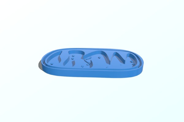 Mitocôndria 3D (3D mitochondria) | 3d print model