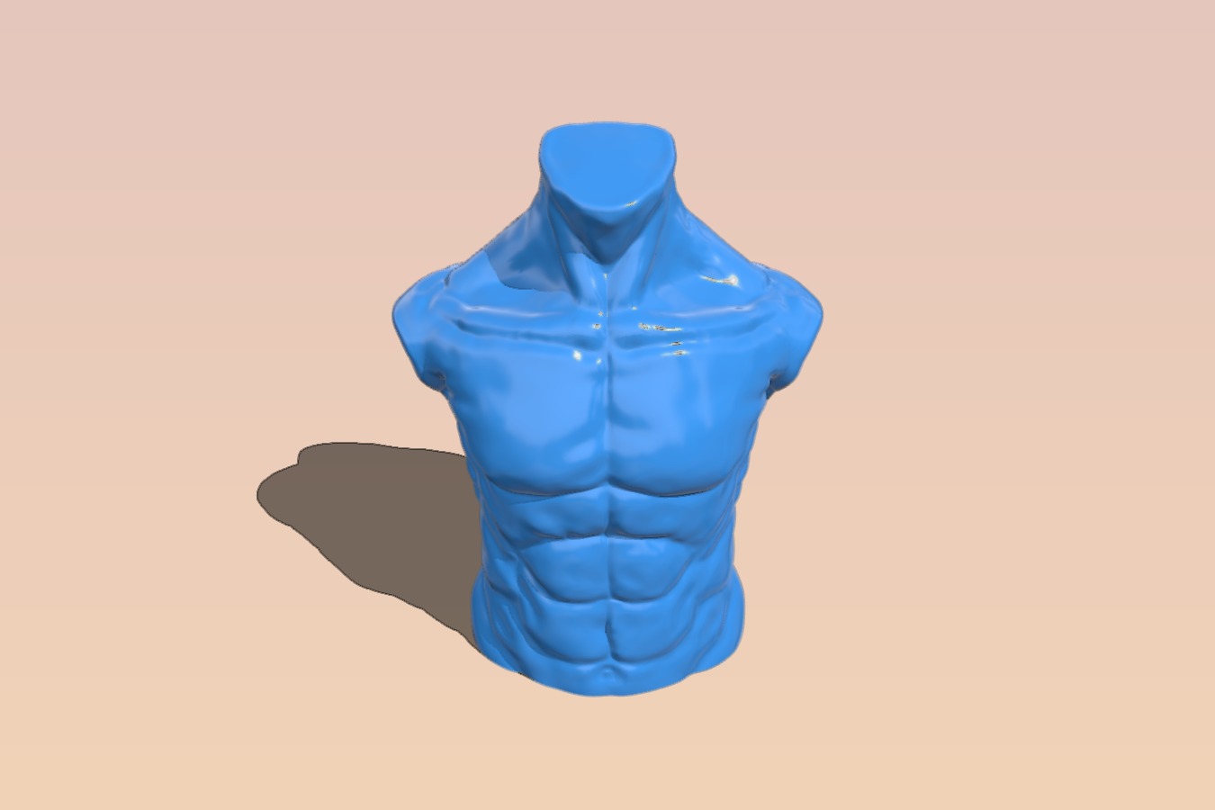 Male Torso (with buttock)