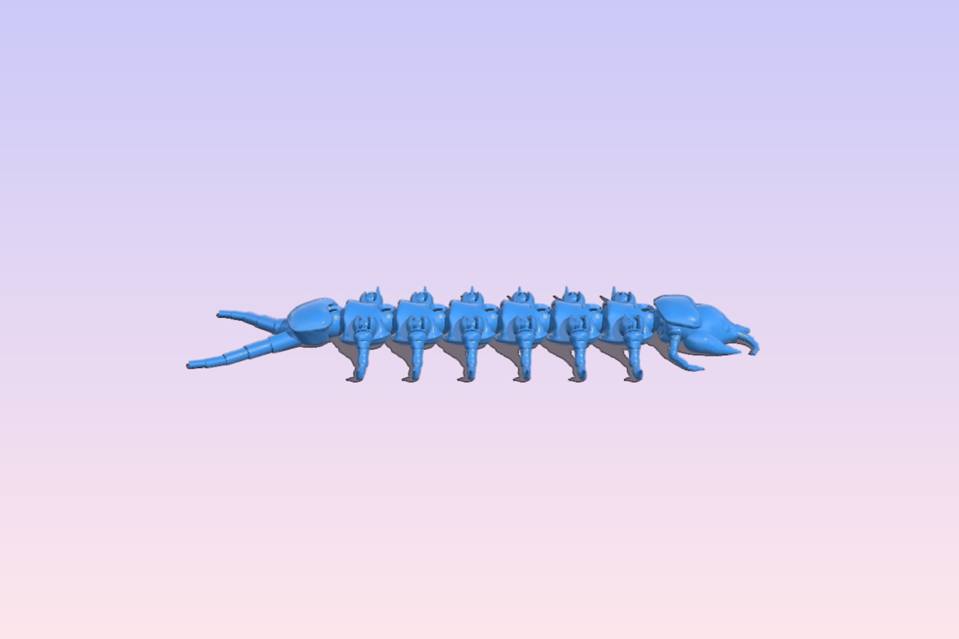 Centipede