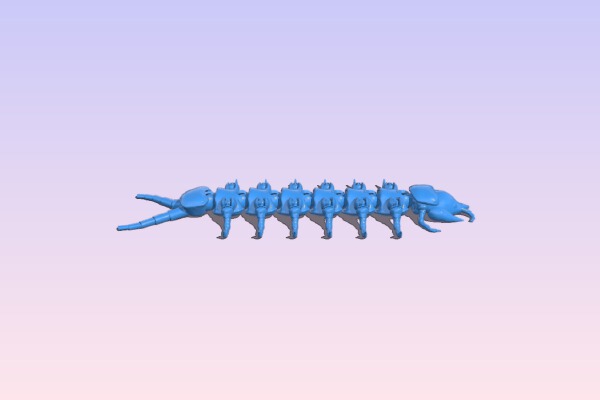 Centipede | 3d print model