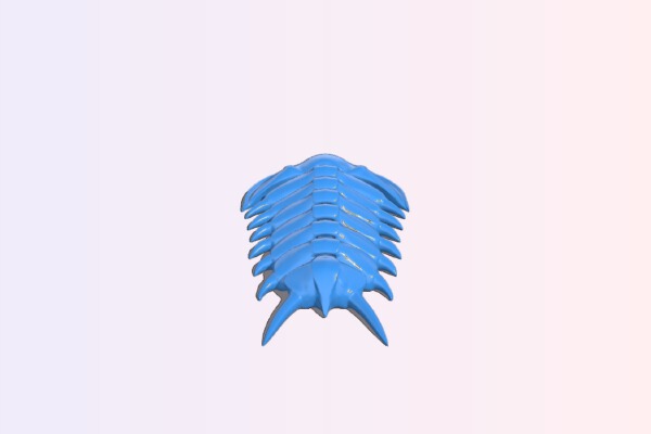 Flexi Trilobite | 3d print model