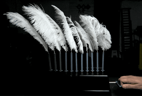 Feather Automaton | 3d print model