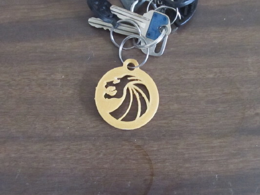 Seven Lions Medallion | 3d print model