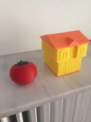 Historical Istanbul House | 3d print model
