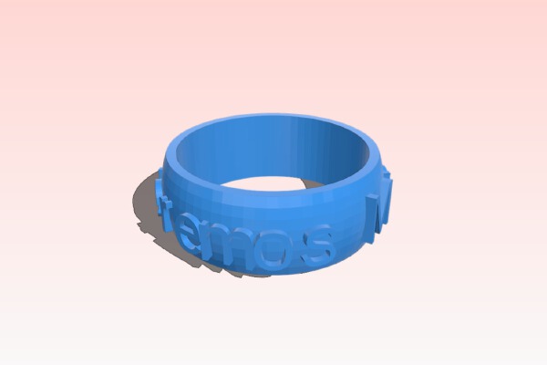 My Customized Ring (with optional text) creator and customiser | 3d print model