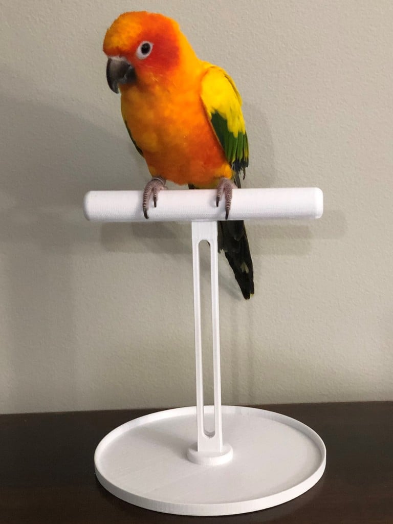 Bird Stand
