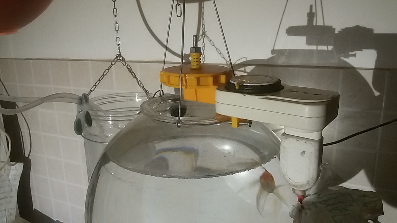 Stupid fish feeder from analog timer switch for your holidays