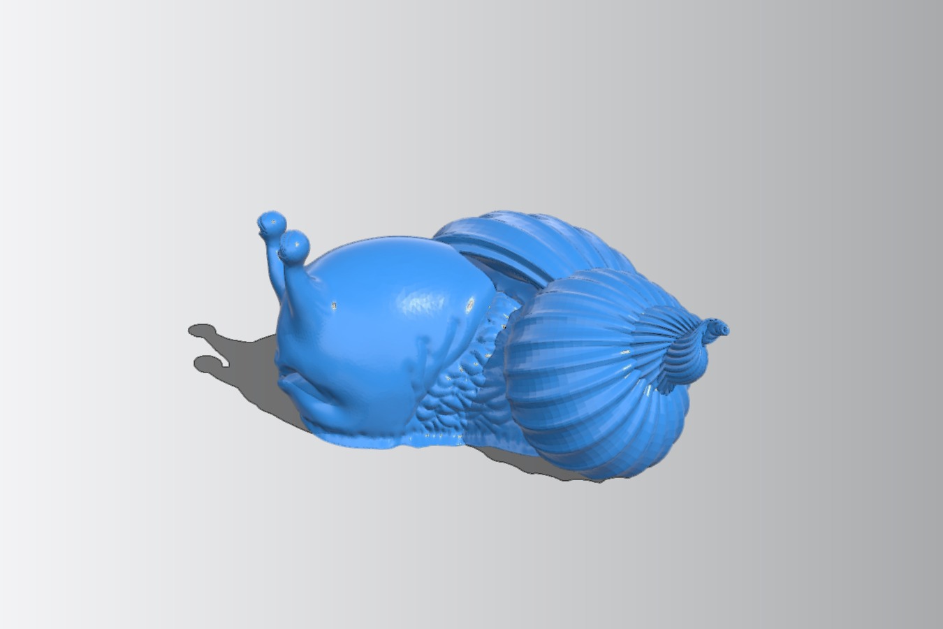 Snail