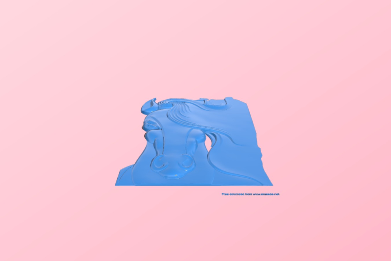 Horse’s head