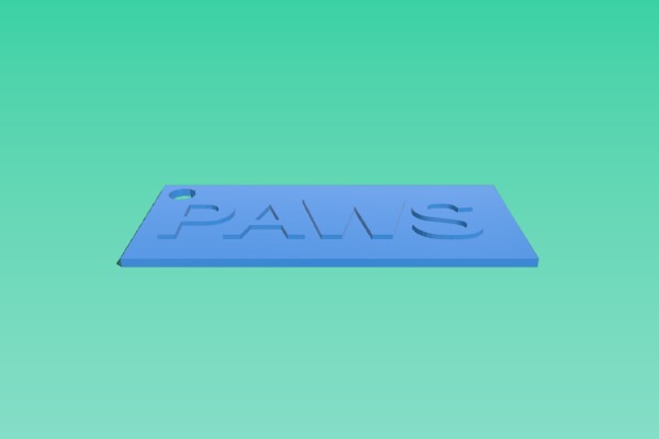 My Customized Bag Tag Label PAWS | 3d print model