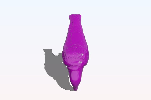 Raven | 3d print model