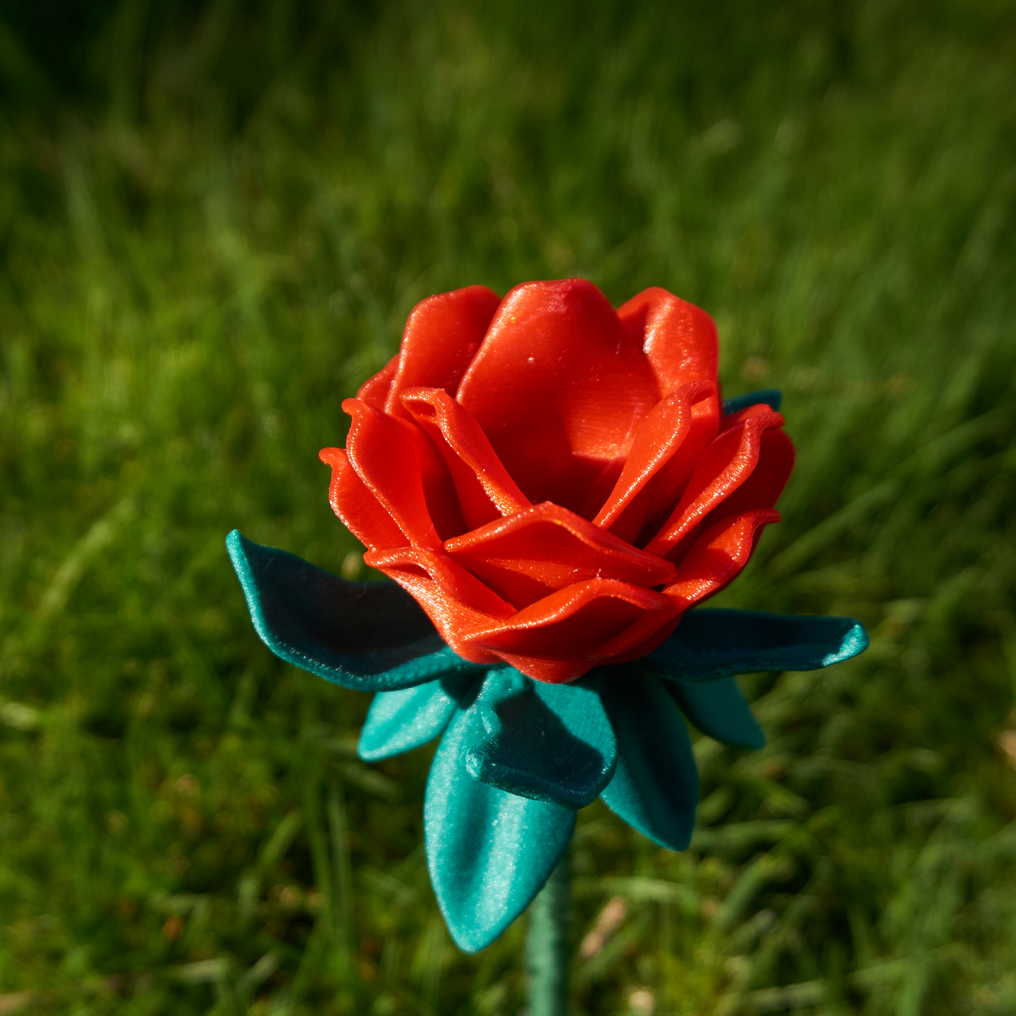 5d0b65f1-9772-44e7-a150-5b4704101aa2