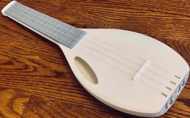 Soprano Ukulele Concealed Worm Gear Tuners | 3d print model