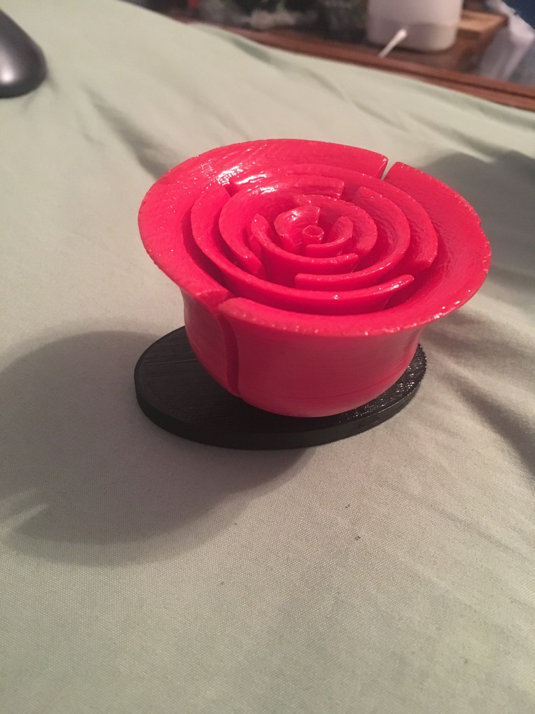 Rose prom proposal