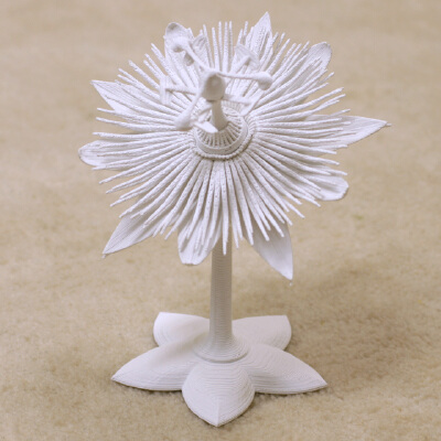 Passion Flower | 3d print model