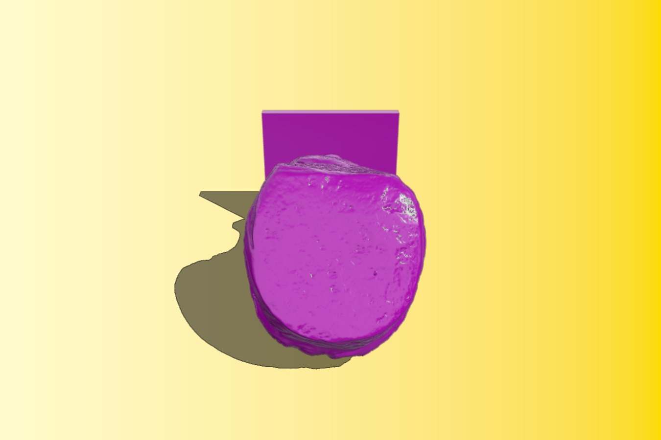 Met matidia minor – head