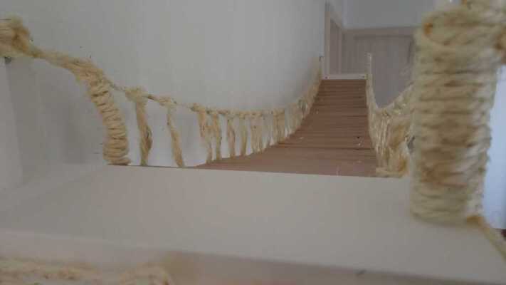 Bridge for  cat _ Pont pour chat | 3d print model