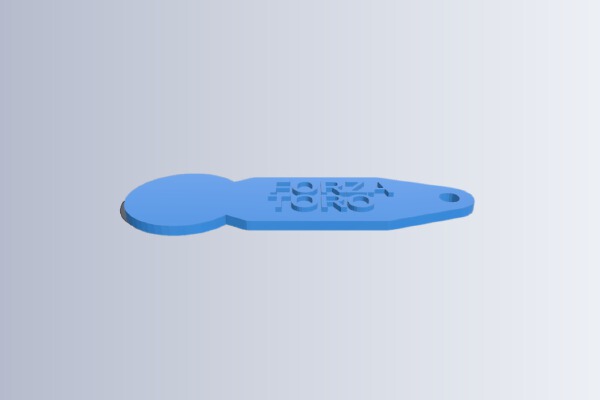 My Customized Keyring with shopping cart coin and two text lines. | 3d print model