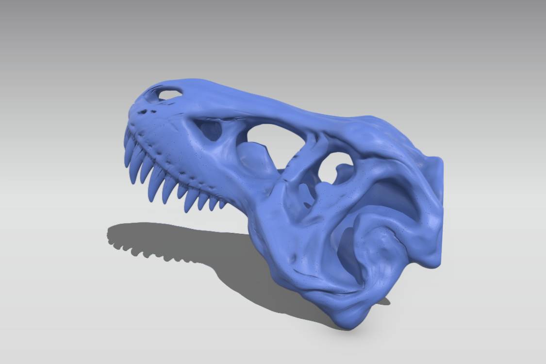 T-Rex Skull | 3d print model