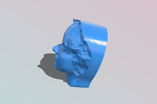 Makerbot Head Bust | 3d print model