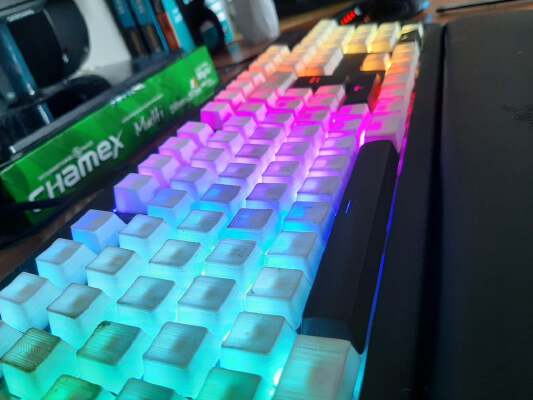OEM Profile Blank Keycaps (Razer Blackwidow V2 _ Cherry MX) | 3d print model