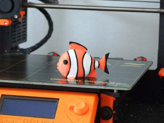 Clownfish (multi-color) | 3d print model