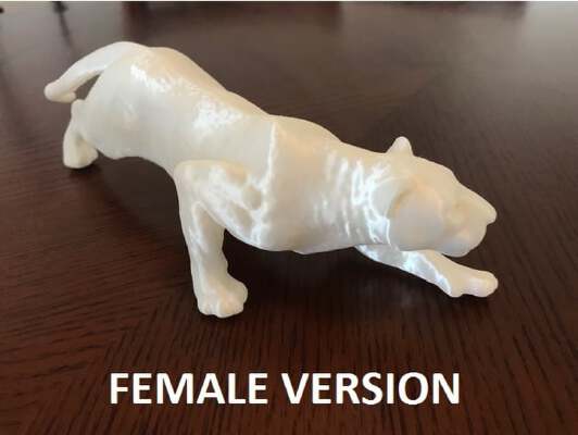 Panther (female version) | 3d print model