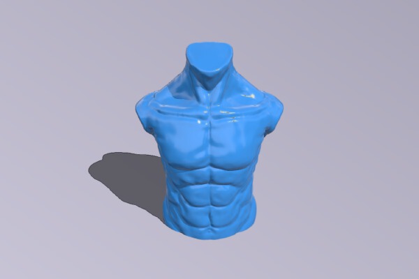 Male Torso | 3d print model