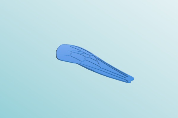 Insect Wing | 3d print model