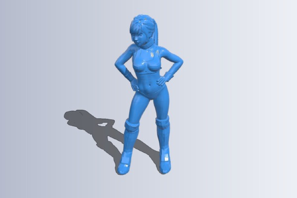 Elena Miyazawa | 3d print model