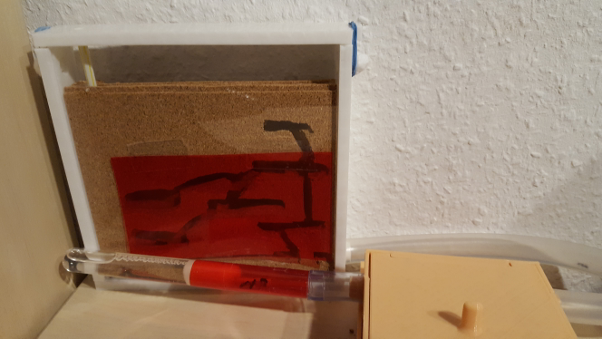 Ant Farm