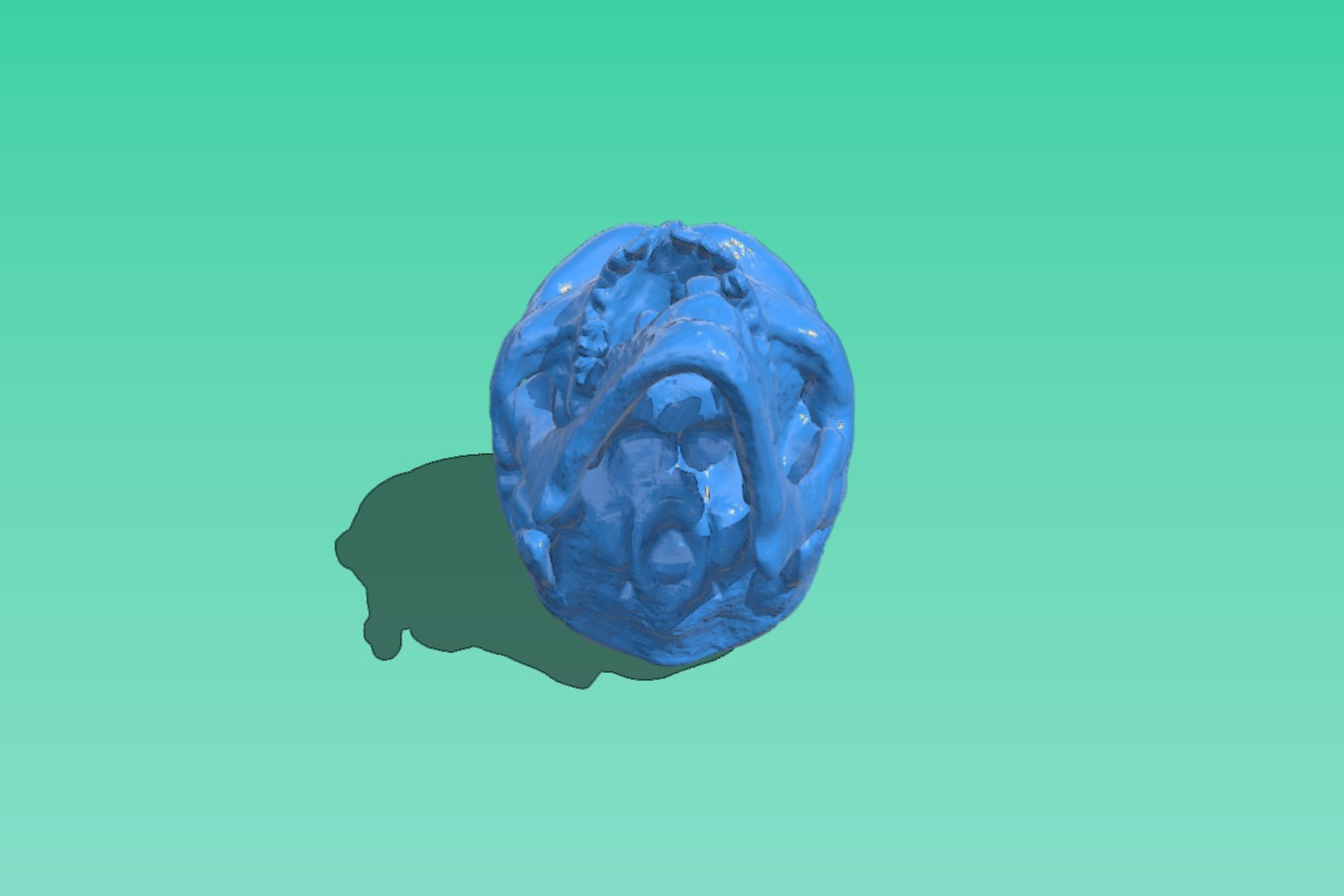 Skull