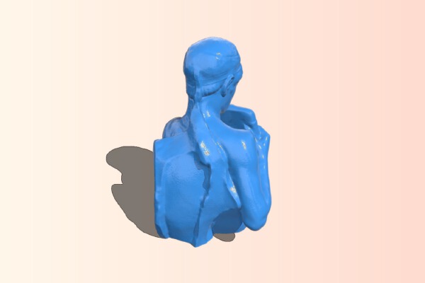 The Pan Flute Player in Valenciennes, France | 3d print model