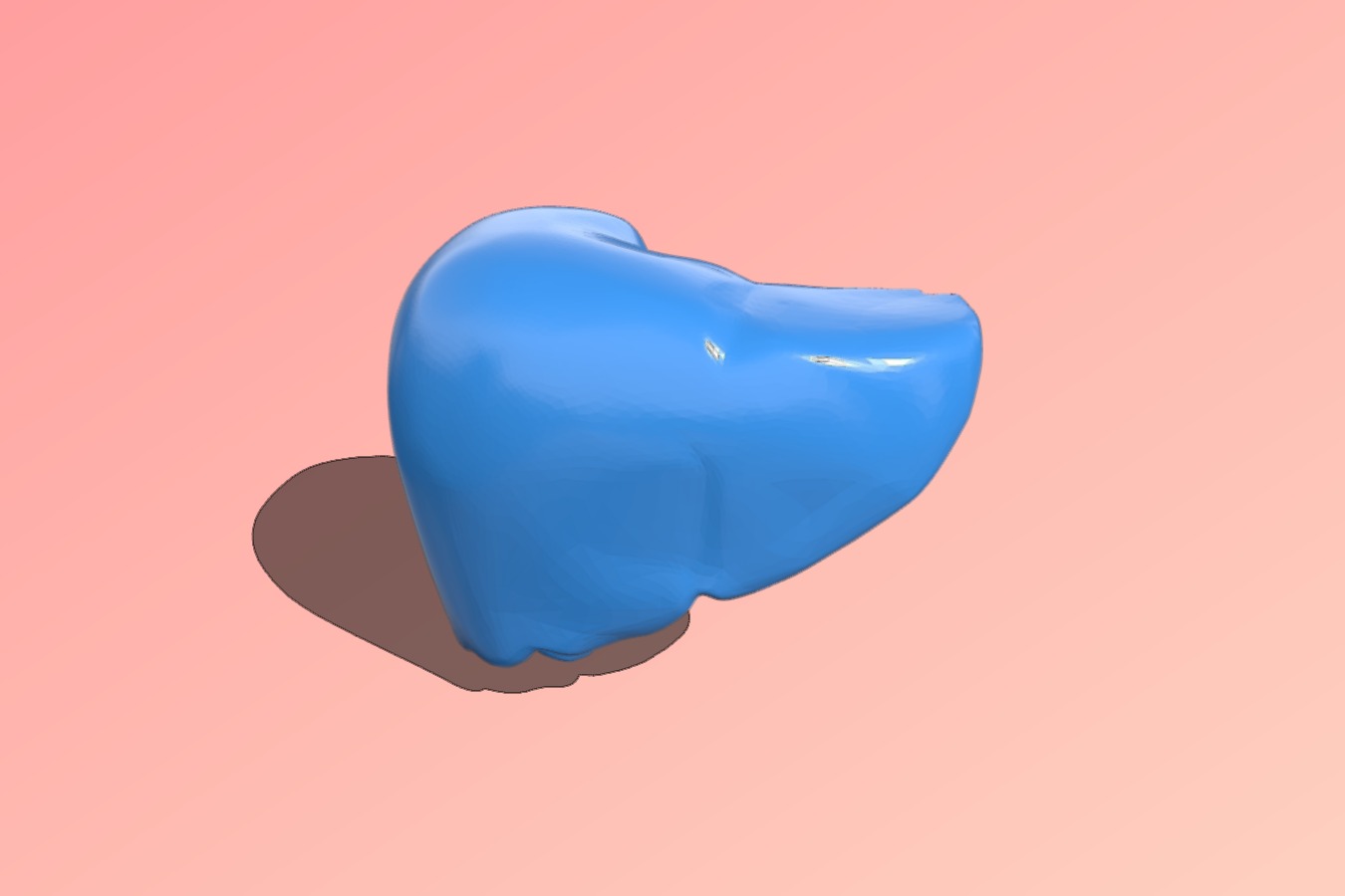 BodyParts3D liver