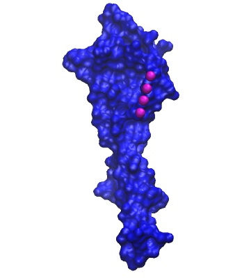 Potassium Channel KcsA | 3d print model