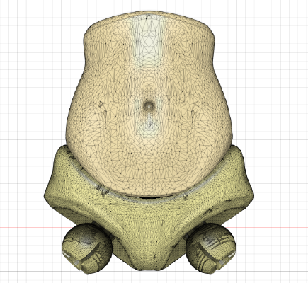 Fixed torso and pelvis for Gavitka's Jointed Female Figure | 3d print model