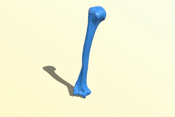  | 3d print model