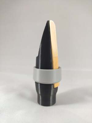 Alto saxophone mouthpiece and its ligature | 3d print model