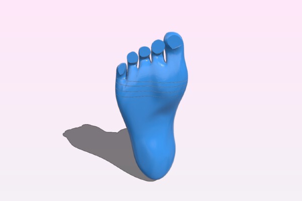 posable feet for sd bjd realistic woman | 3d print model