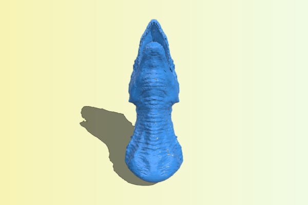 Dinosaur head | 3d print model