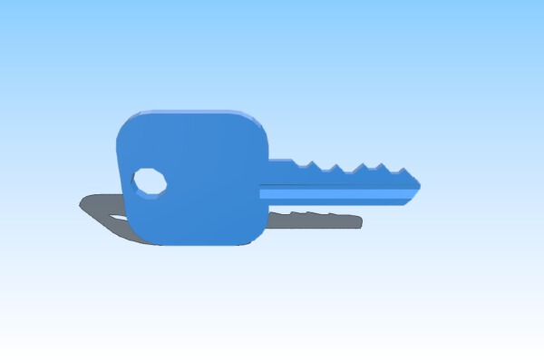 My Customized Schlage SC1 Key test | 3d print model