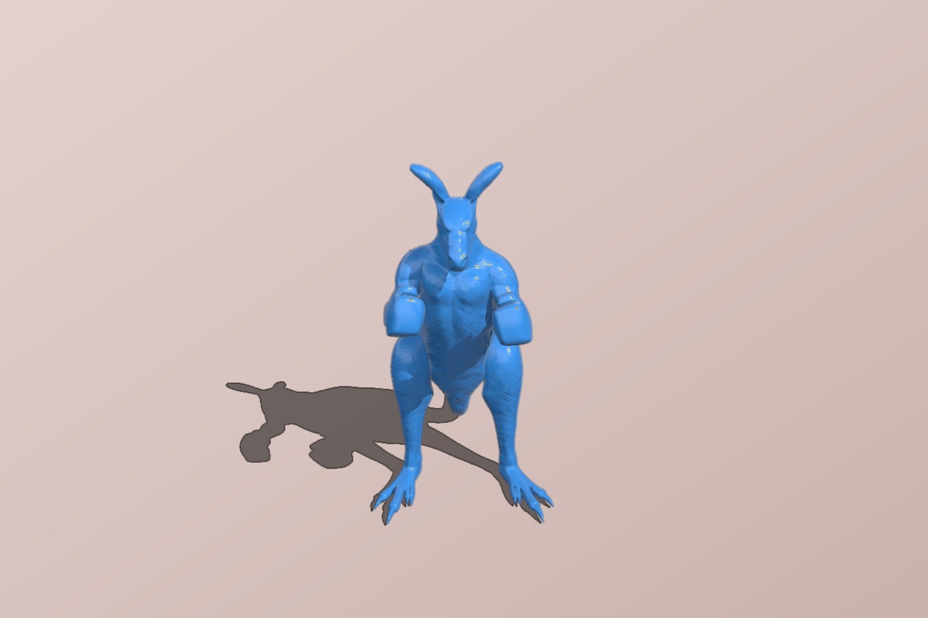 Kangaroo male boxing