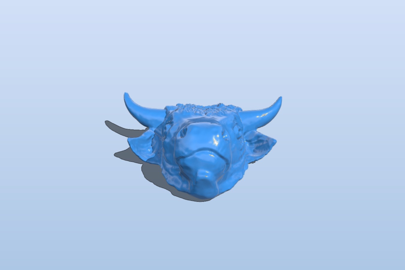 Cow head