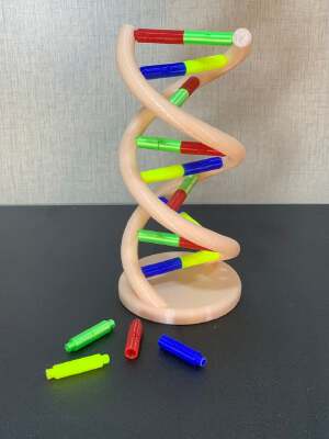 DNA model | 3d print model