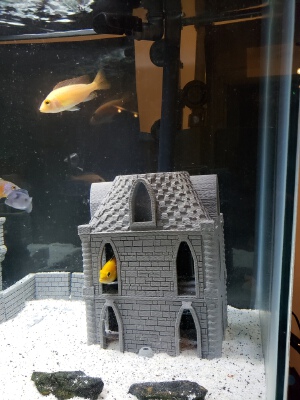 Cichlid Cave Hotel | 3d print model